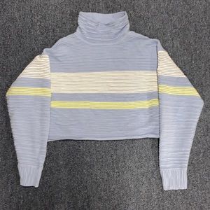 American Eagle Turtle Neck Cropped Sweater